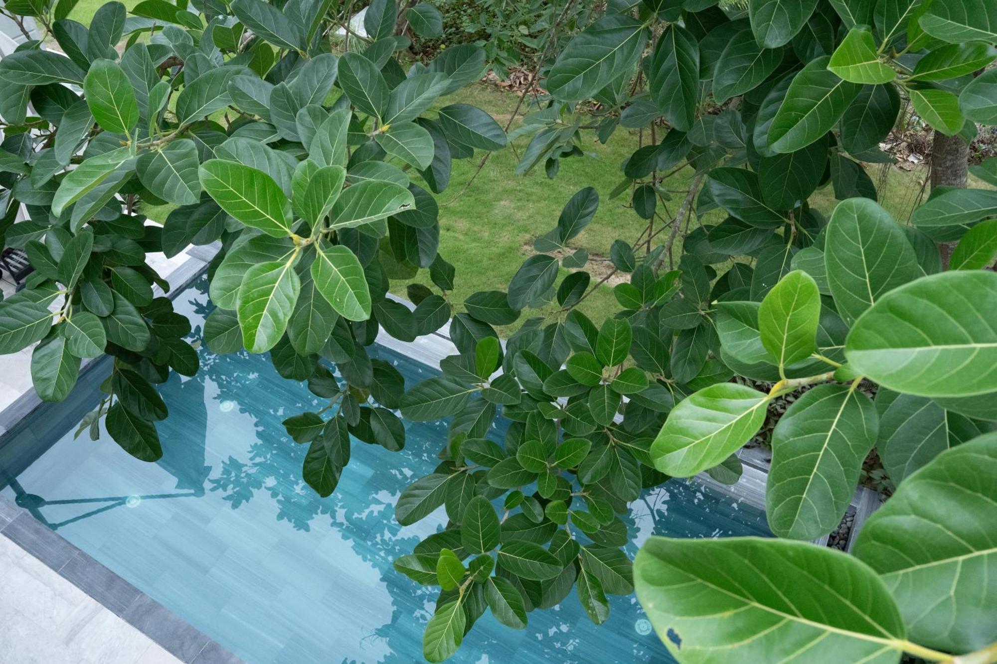 "Brg Golf Club" - Danang Private Pool Villa 3 Bedrooms #3 Экстерьер фото